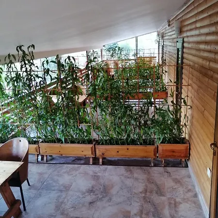 Chimera Pia Aparts Çıralı