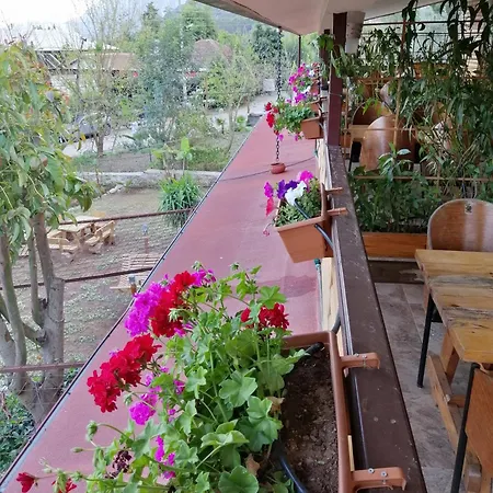 Hotell Chimera Pia Aparts