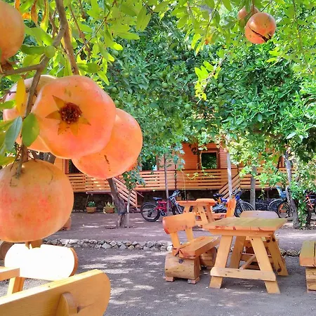 Chimera Pia Aparts Hotell Çıralı