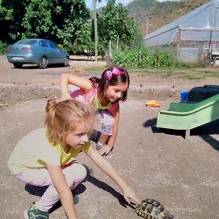 Chimera Pia Aparts 3* Çıralı