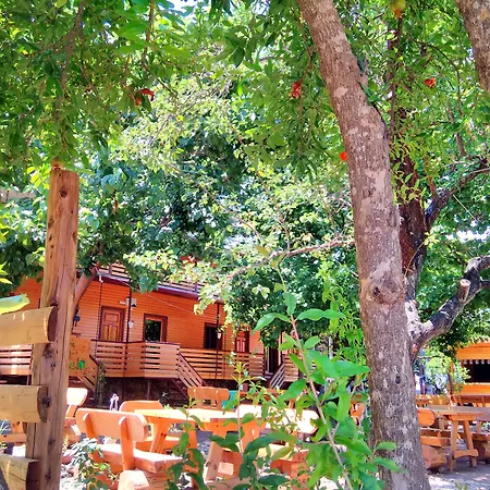 Chimera Pia Aparts Çıralı