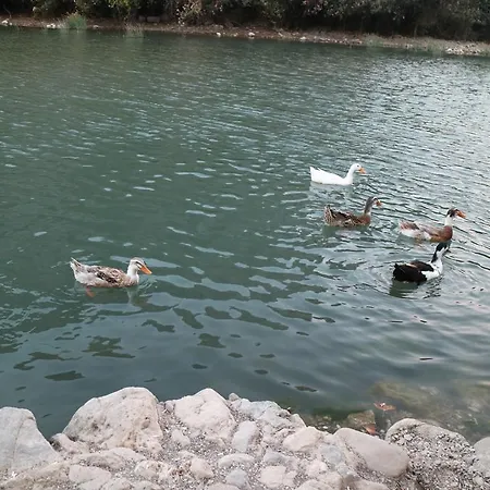 Hotell Chimera Pia Aparts