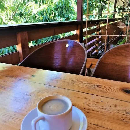 Chimera Pia Aparts Cirali