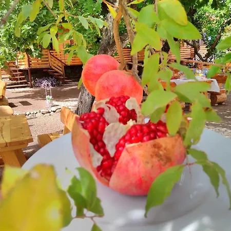 Chimera Pia Aparts 3*