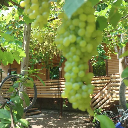 Chimera Pia Aparts Çıralı