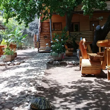 Chimera Pia Aparts Çıralı