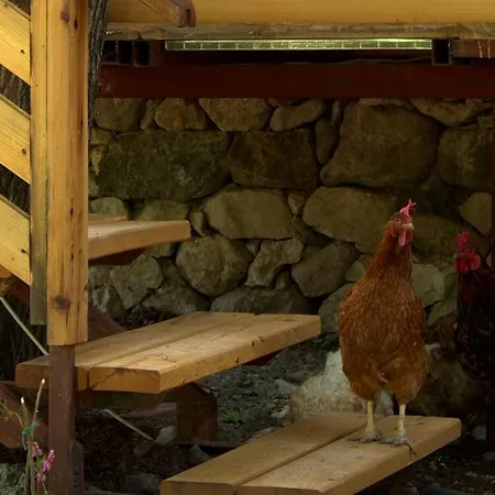 Chimera Pia Aparts Hotel